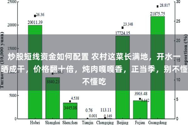 炒股短线资金如何配置 农村这菜长满地，开水一烫晒成干，价格翻十倍，炖肉嘎嘎香，正当季，别不懂吃