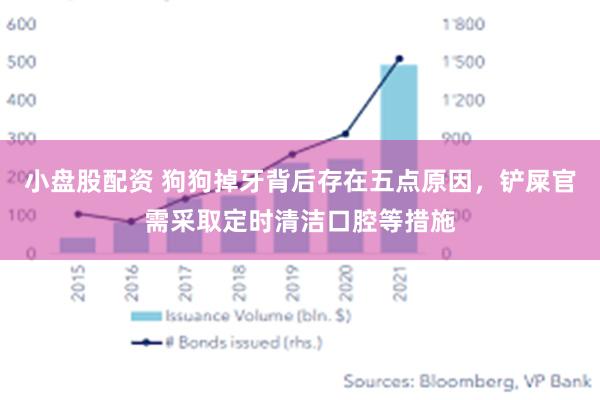 小盘股配资 狗狗掉牙背后存在五点原因，铲屎官需采取定时清洁口腔等措施