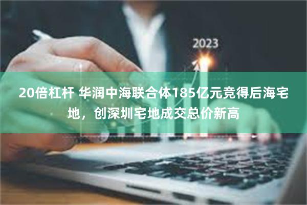 20倍杠杆 华润中海联合体185亿元竞得后海宅地，创深圳宅地成交总价新高