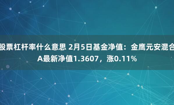 股票杠杆率什么意思 2月5日基金净值：金鹰元安混合A最新净值1.3607，涨0.11%