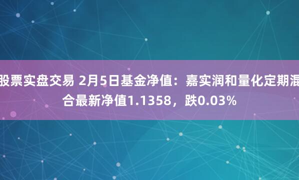 股票实盘交易 2月5日基金净值：嘉实润和量化定期混合最新净值1.1358，跌0.03%