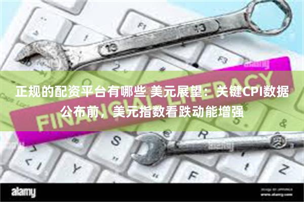 正规的配资平台有哪些 美元展望：关键CPI数据公布前，美元指数看跌动能增强