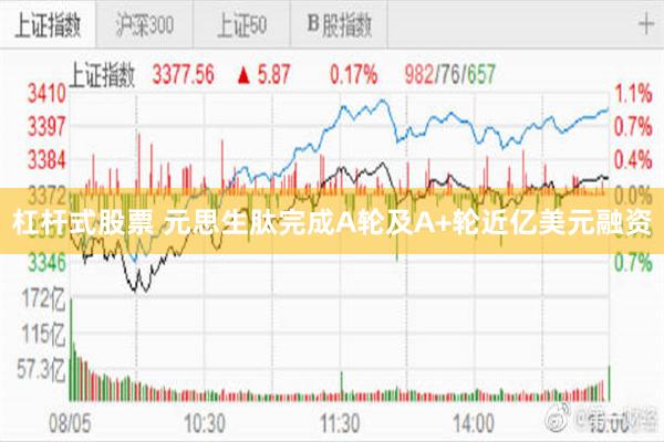 杠杆式股票 元思生肽完成A轮及A+轮近亿美元融资